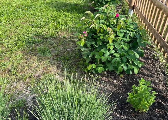 Casa vacanze Altalmrich Naumburg (Saale)